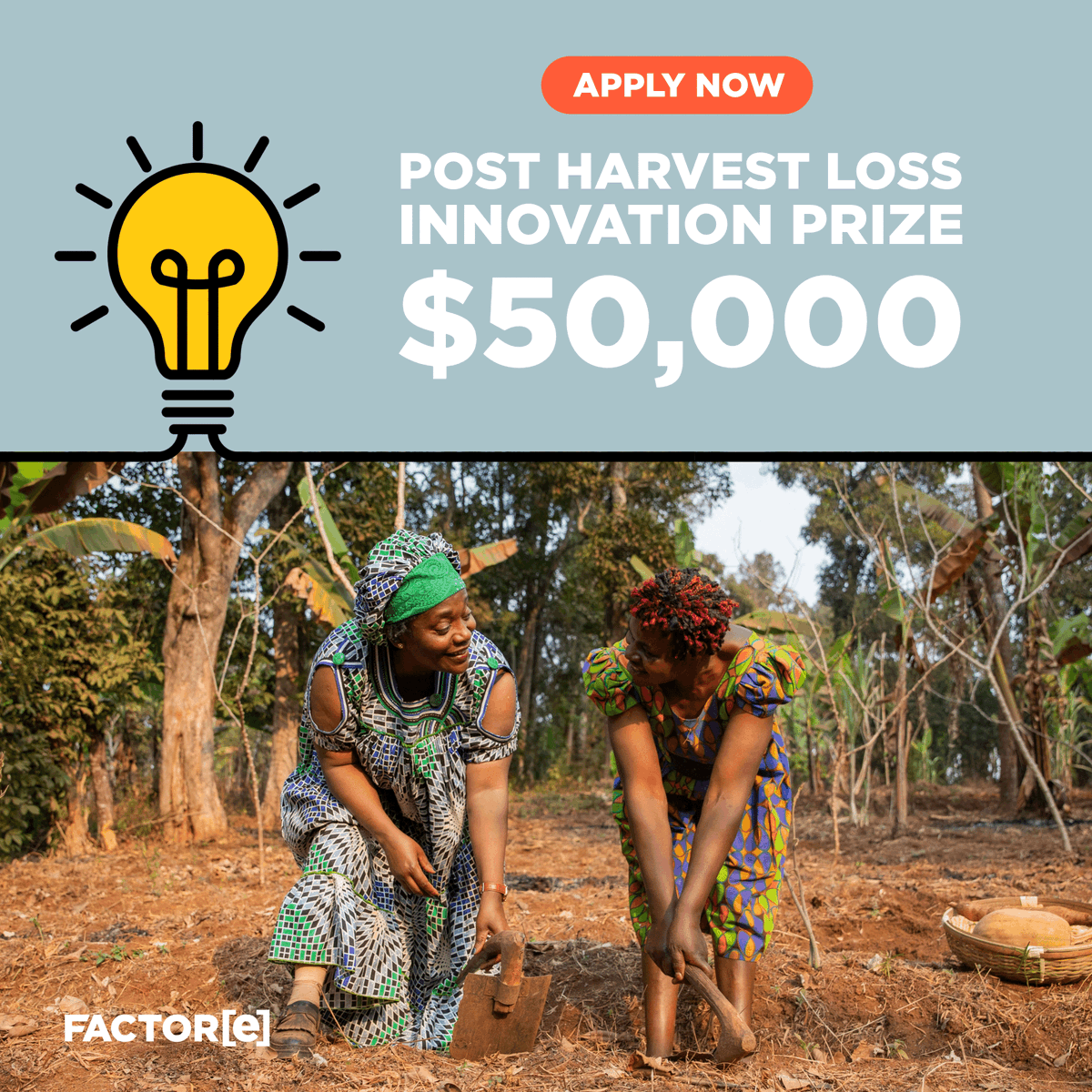 **Last call for ag innovators! **

Applications for the Post-Harvest Loss Prize CLOSE TODAY (Aug 21st)!  Win $50k &amp; showcase your solution at NYC Climate Week. Apply here now! factore.com/innovation-pri…

#Agriculture #InnovationChallenge #Impact