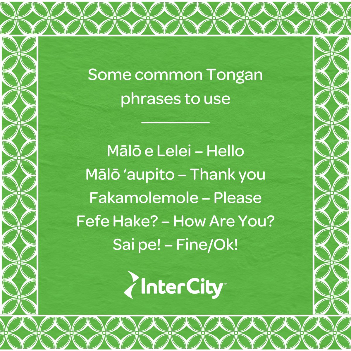 InterCityBUS's tweet image. Mālō e lelei! 👋🏽 This week is Uike Kātoanga’i ‘o e Lea Faka-Tonga, also known as #TonganLanguageWeek 🇹🇴 To celebrate the fastest-growing Pacific population in Aotearoa, we&apos;ve put together a few handy phrases to use this week to practice your Lea Faka-Tonga! ❤️🤍 #nzallover