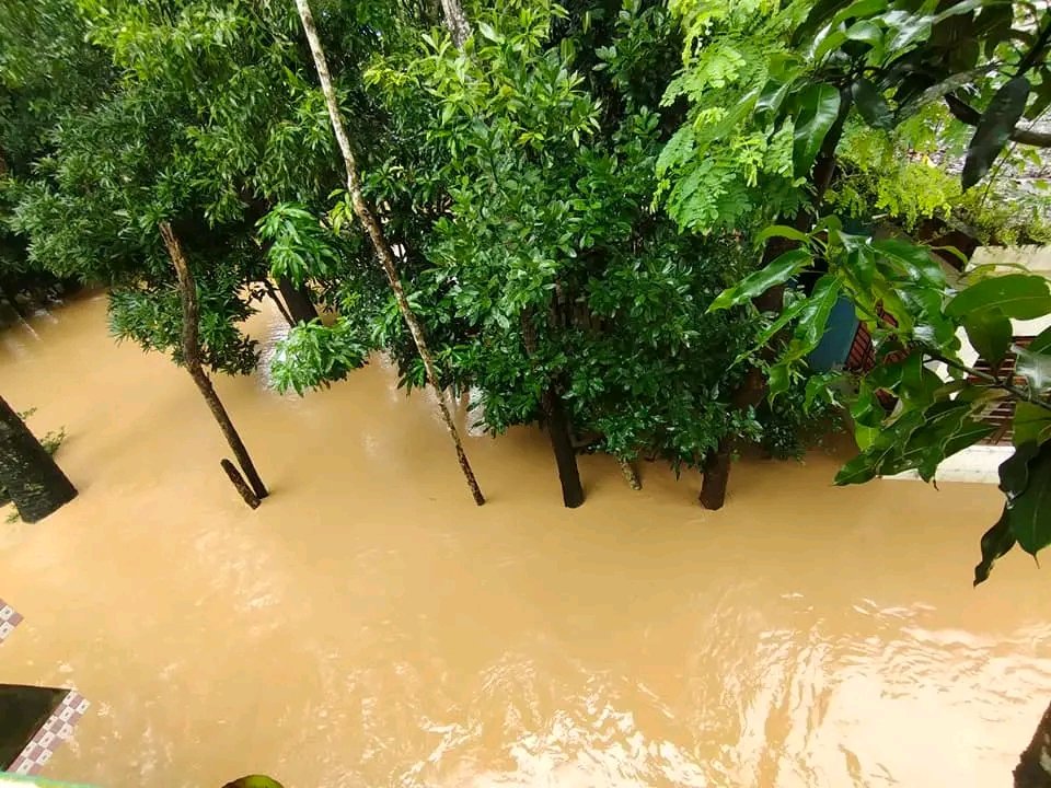 PREMIUMERZA's tweet photo. Current situation of Feni. These are the high areas of the district! Pray for then. Help them.

#FloodInBangladesh
#AllEyesOnFeni https://t.co/N4w4ng6Rm6