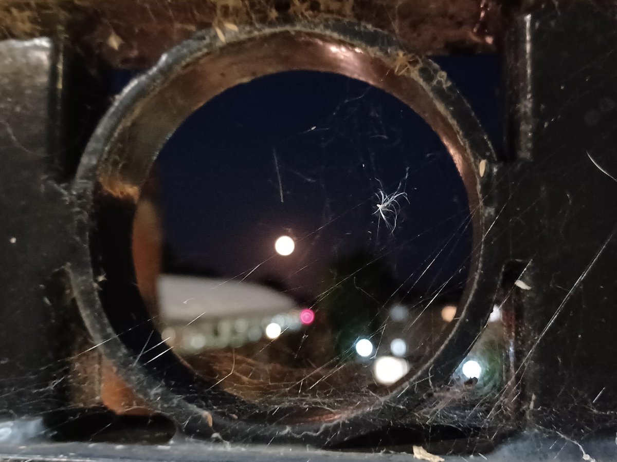 Conkleton's tweet image. The rare #bluemoon caught in a #spidersweb  #crystalpalace #london 

#fullmoon #lunalife #moonpower #moon