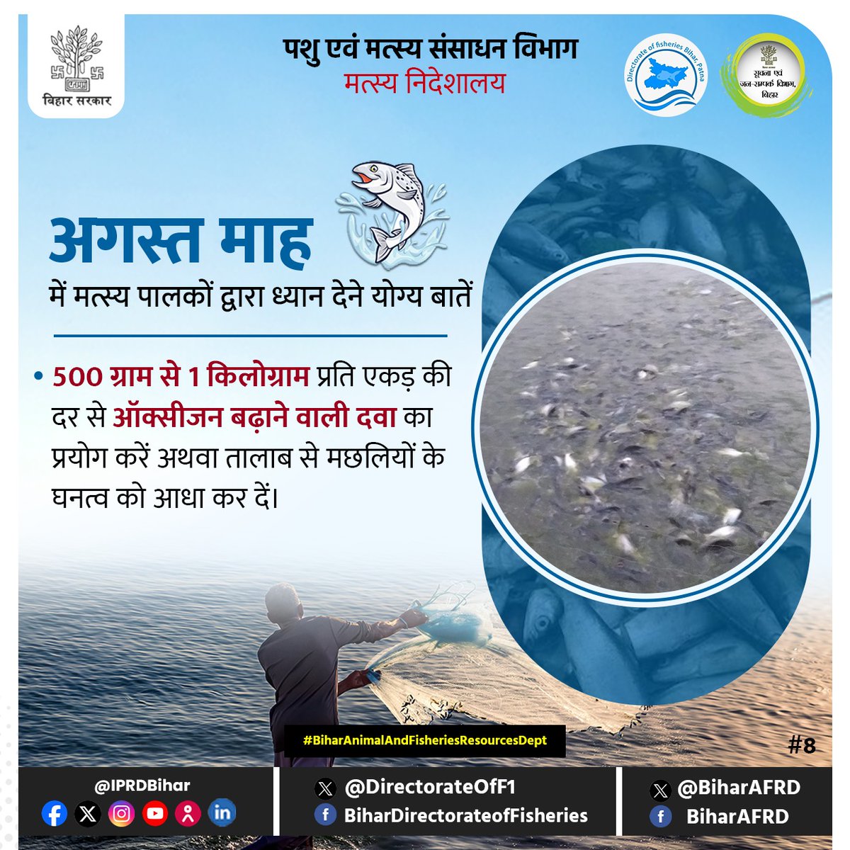 अगस्त माह में मत्स्य पालकों द्वारा ध्यान देने योग्य महत्वपूर्ण बातें 
<a href="/renu_bjp/">Renu Devi 🇮🇳</a> 
<a href="/vijayaias/">nvijayalakshmi</a> 
<a href="/Dept_of_AHD/">Dept of Animal Husbandry & Dairying, Min of FAH&D</a> 
@AnimalBihar 
#BiharAnimalAndFisheriesResourcesDept 
#fish #fishfarmers