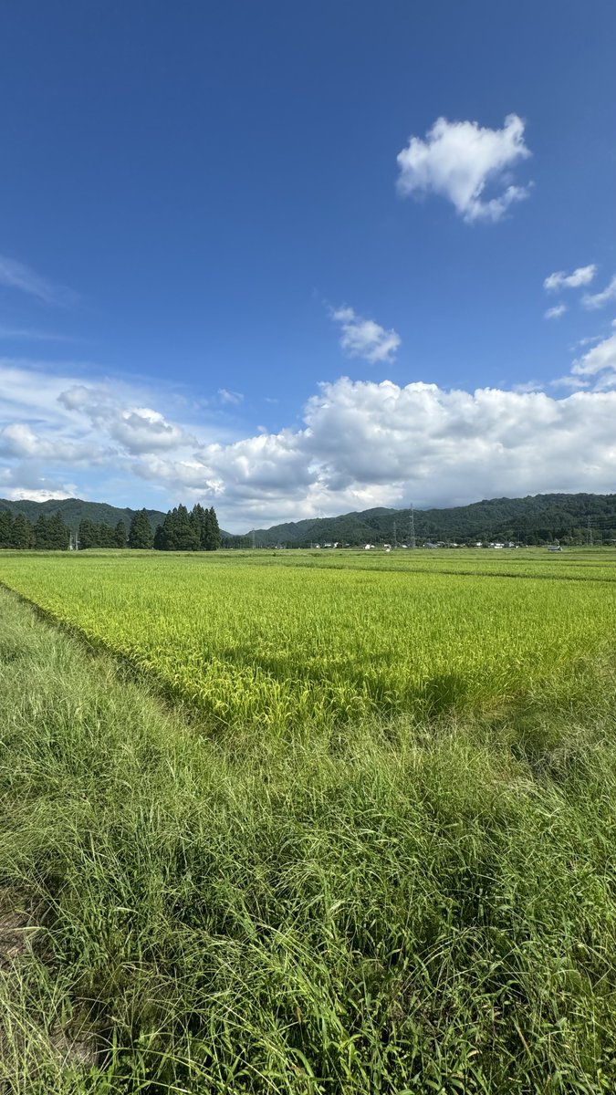 🥮 vient 🥮 tweet media