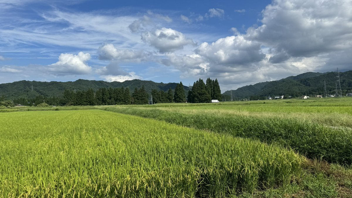 🥮 vient 🥮 tweet media