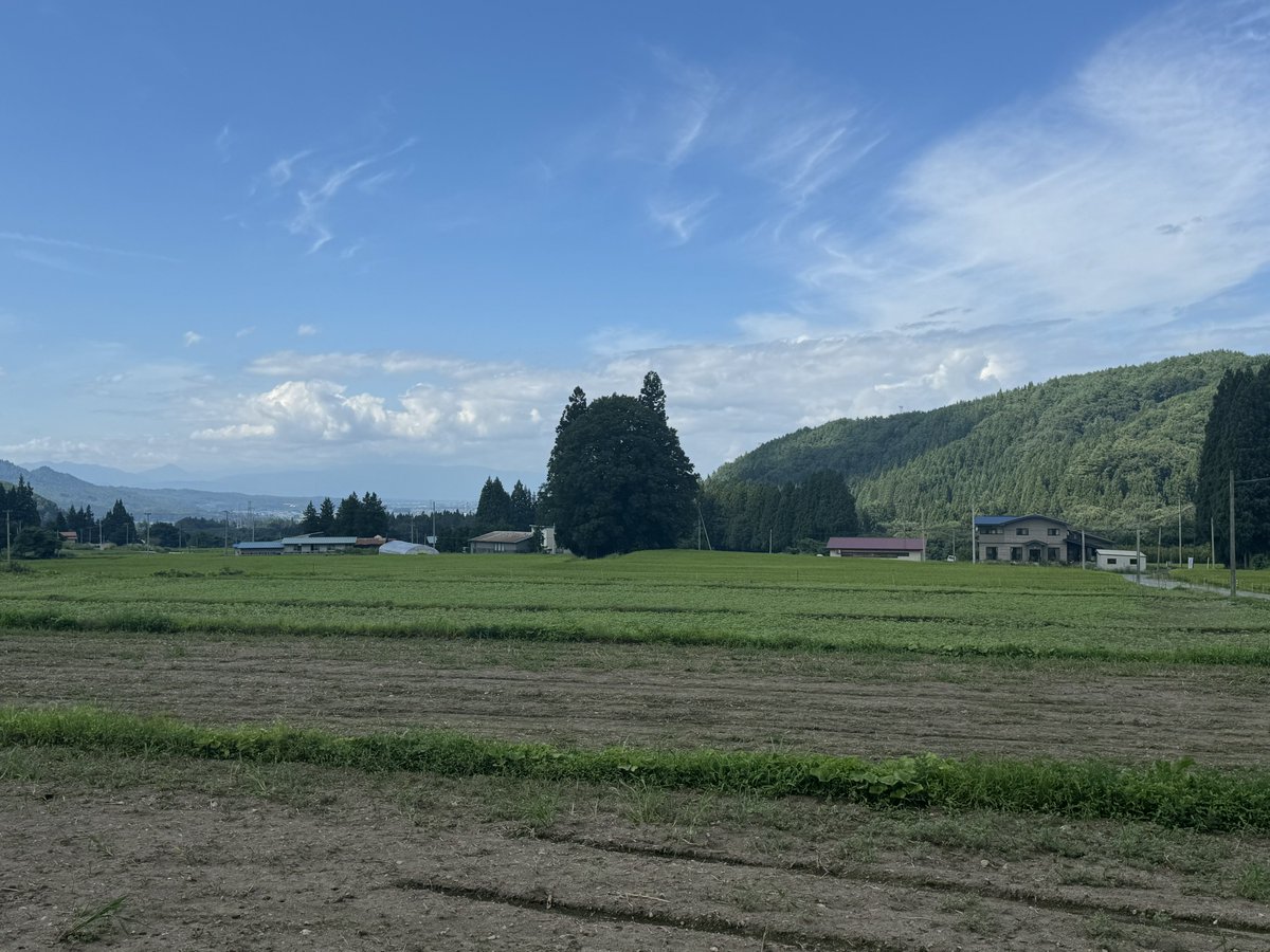 🥮 vient 🥮 tweet media