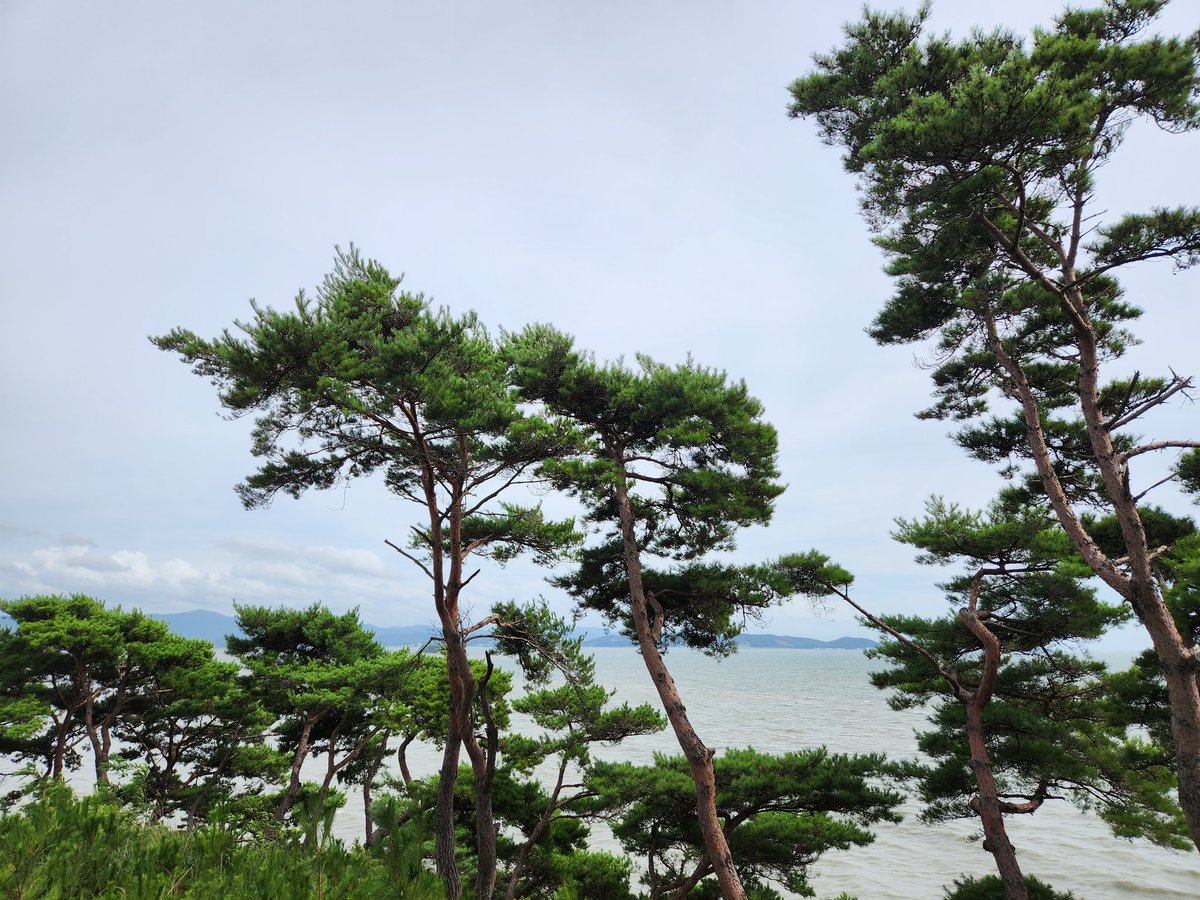 jeonghy54352949's tweet image. 오랜만에 바다바람 불고 좋네요