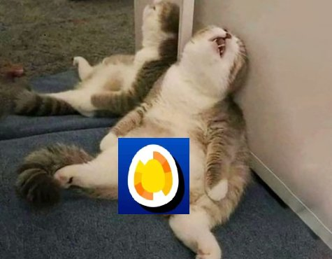MeliewEth's tweet photo. @lunch_xyz  LFG EGGS https://t.co/Nyotvf9AfD