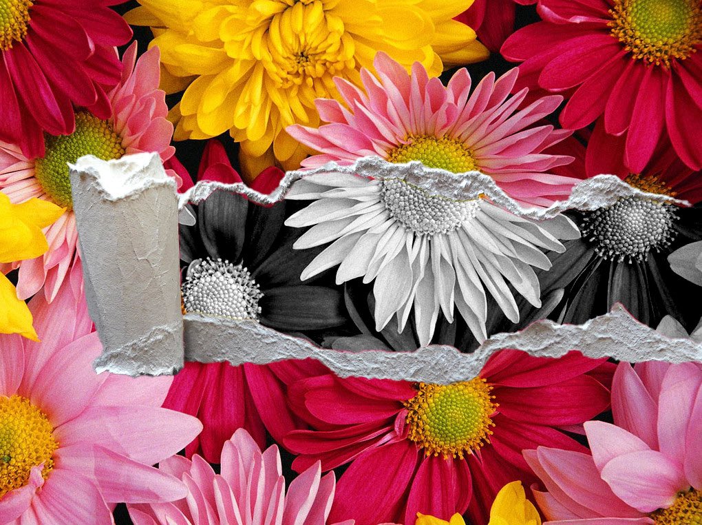 Our students are mastering Photoshop &amp; Illustrator with the guidance of our amazing tutors. Check out their creative journey in our latest video and join the class 🤝instagram.com/reel/C-5TaVLIx…