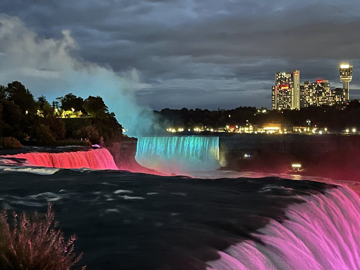 Andrew Williams tweet media