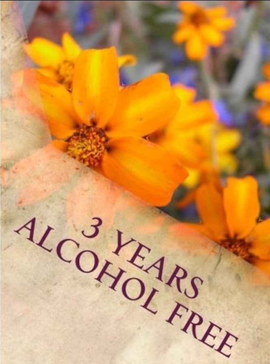 Midnight_Rain52's tweet photo. Still here, Still doing my thing. 3 years Alcohol Free.
#sober #RecoveryPosse #recovery #sobriety #odaat https://t.co/CVxLsV8FFb