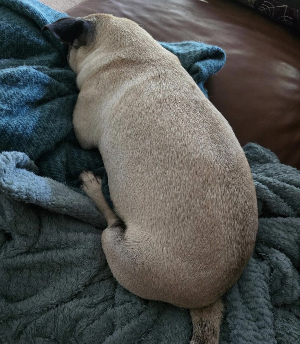 Flora Ahn tweet media