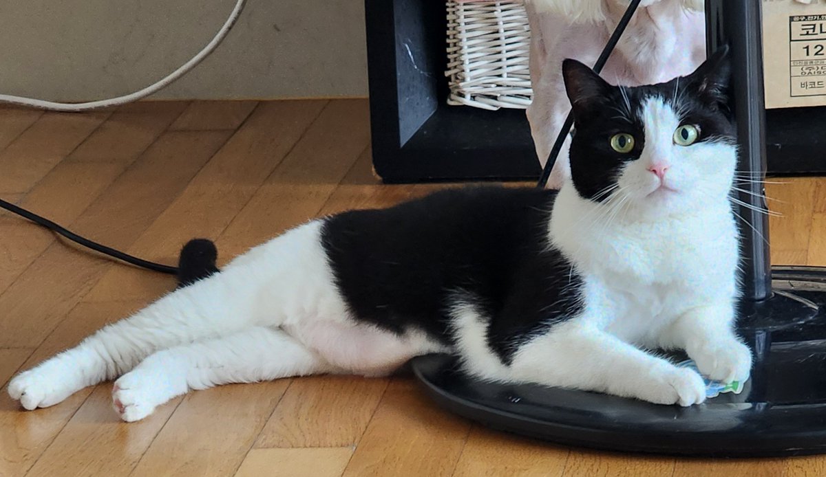 チャンさん (@chansan_0215) on Twitter photo 