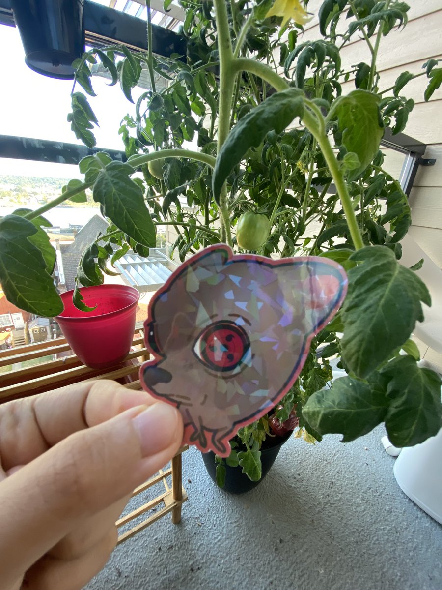 I got that dog in me