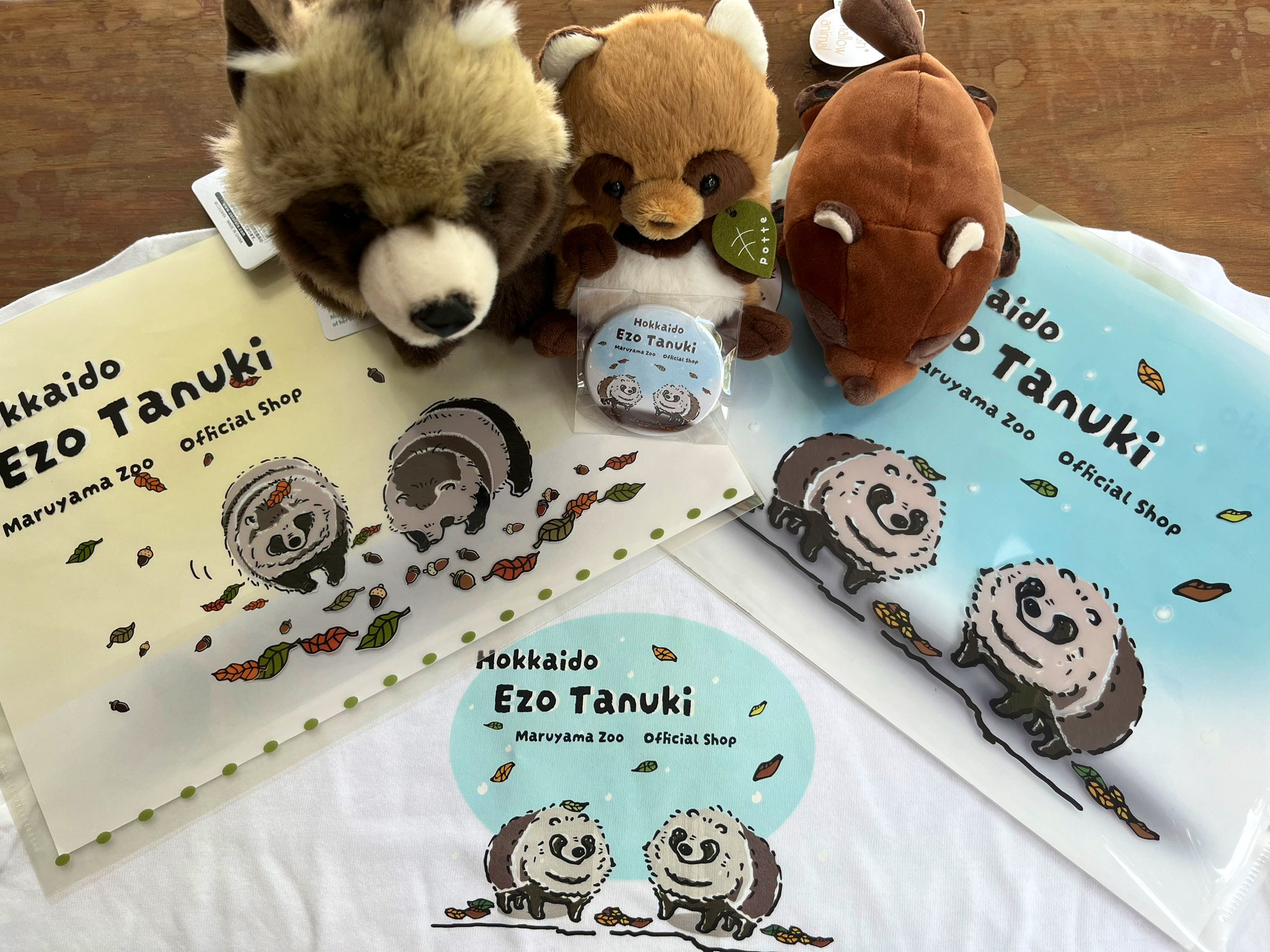 円山動物園オフィシャルショップ on X: 