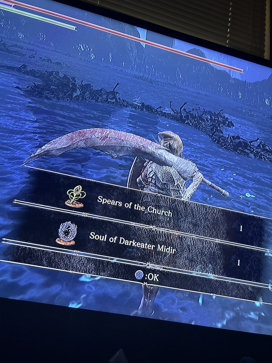 MxchfMkr's tweet photo. Let’s Gooooooo!! After like 50 tries finally beat #midir #ds3 https://t.co/Zz6zxikDge