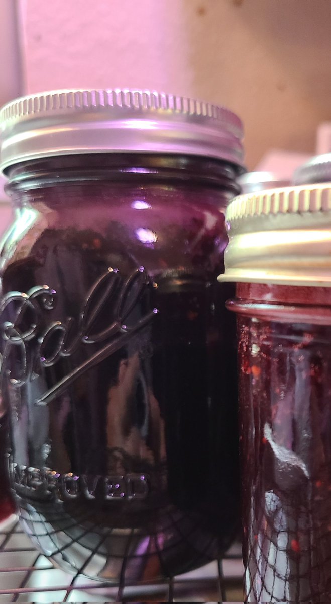 StBridgit's tweet image. In a 12 hour domestic goddess mode - made 3 quarts of mixed berry jam, 2 bacon, cheddar and onion quiches from scratch, and a blueberry clafouti for dessert. Will now imitate a sloth for the next 24 hrs.