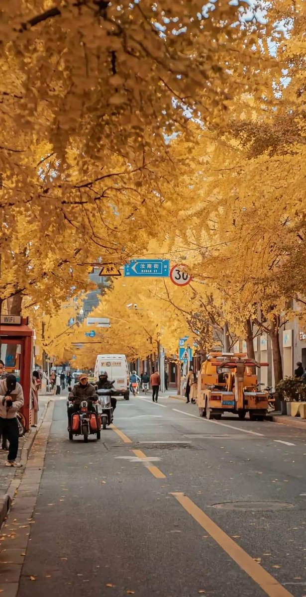 minh tâm (心)(互fo) tweet media