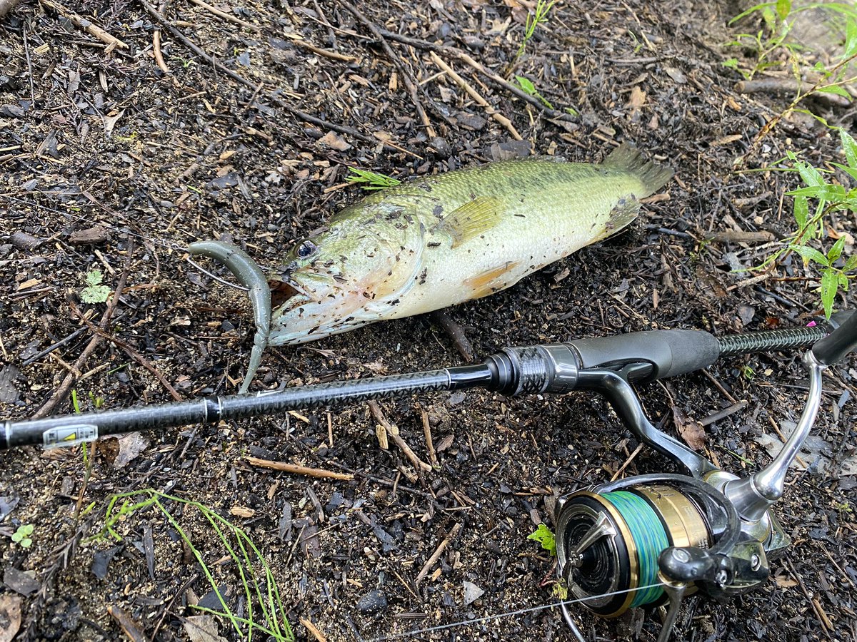 tinybeccha61's tweet image. 夏はやっぱり、表層スピードゲーム🎮
#DIVISER
#スライドトリッカー