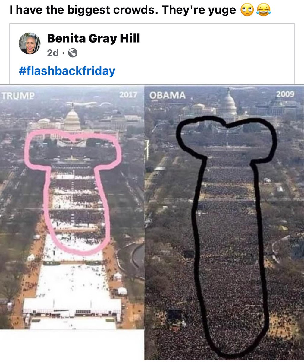 fabulous flamingo tweet media