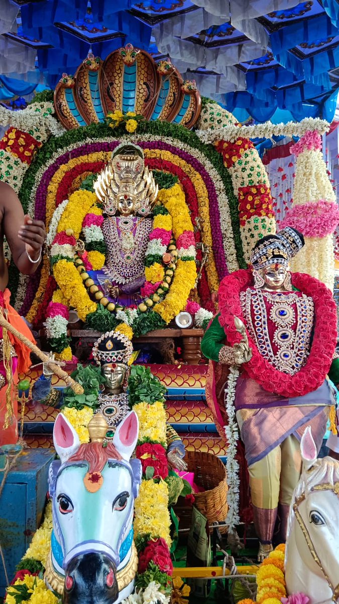 SelangoSamy's tweet photo. 🔥🌺🕉️ ஓம் ஸ்ரீ பொன்னியம்மன் அருள் ஆசி பெற்று அனைவரும் நலமாக வாழ வேண்டும் திருப்பத்தூர் மாவட்டம் வாணியம்பாடி அடுத்து மேட்டுப்பாளையம் திருவிழா அன்னைக்கு குமுளிக்கு காணிக்கை செலுத்தினார் வாழ்க வளமுடன் அனைத்து பக்தர்கள��ம் அம்மனுடைய அருள் ஆசி பெற வேண்டும் https://t.co/OsXzAY2zRC