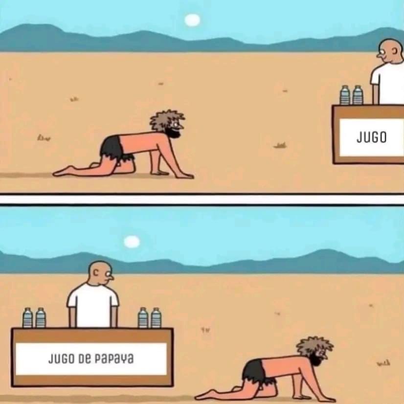 aleja tweet media