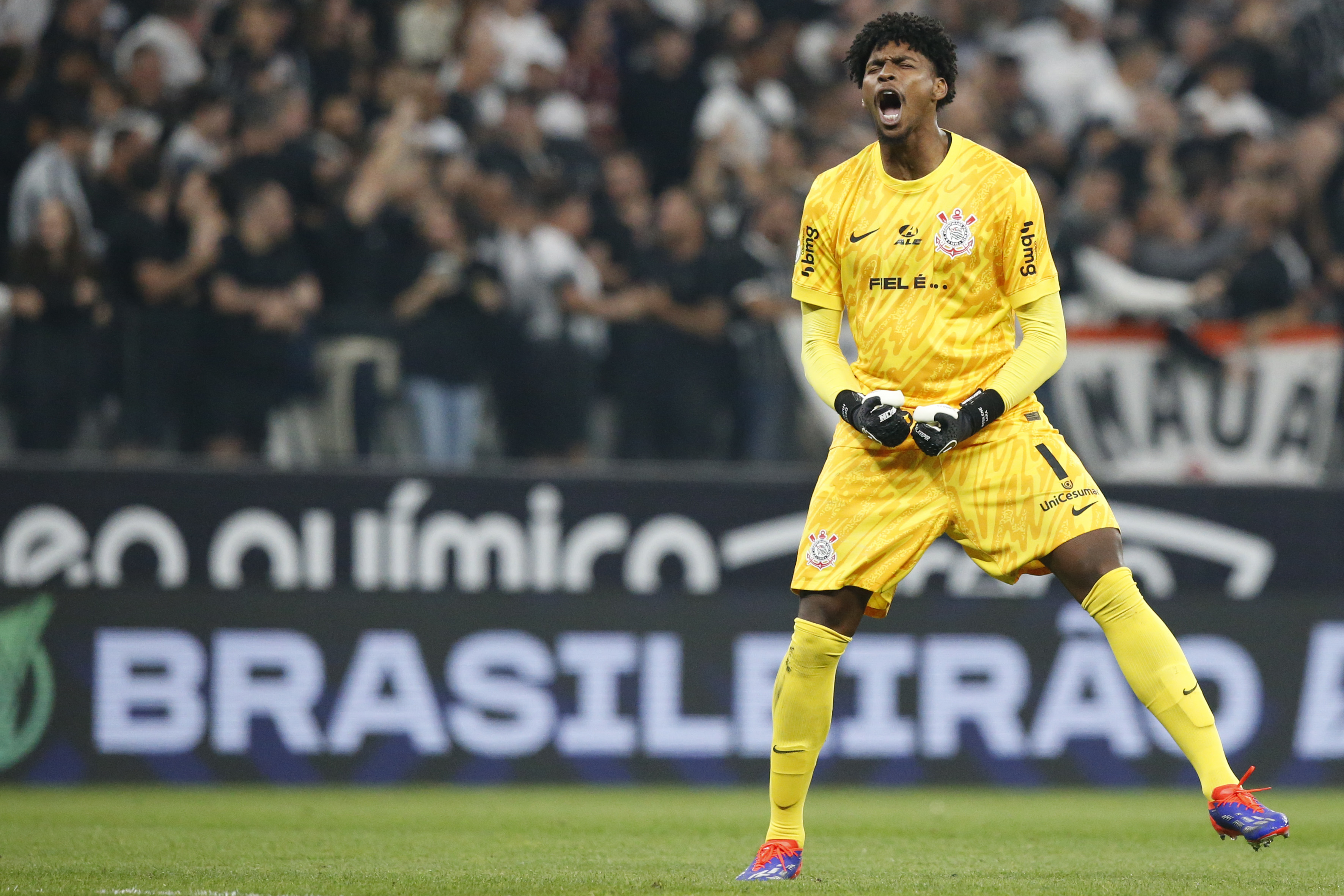 GVeQ7gWXsAAExu7?format=jpg&name=4096x409