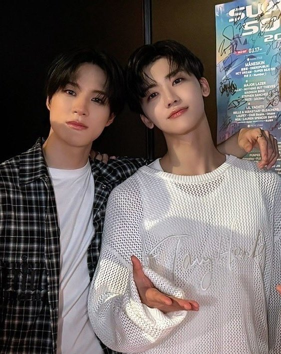 acell🪼🫧 tweet media