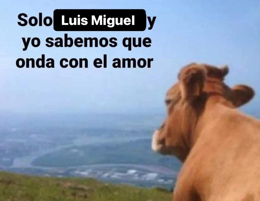 𝗣𝗔𝗣𝗜 𝗟𝗨𝗜𝗦𝗠𝗜 (@ipapiluismi) on Twitter photo 