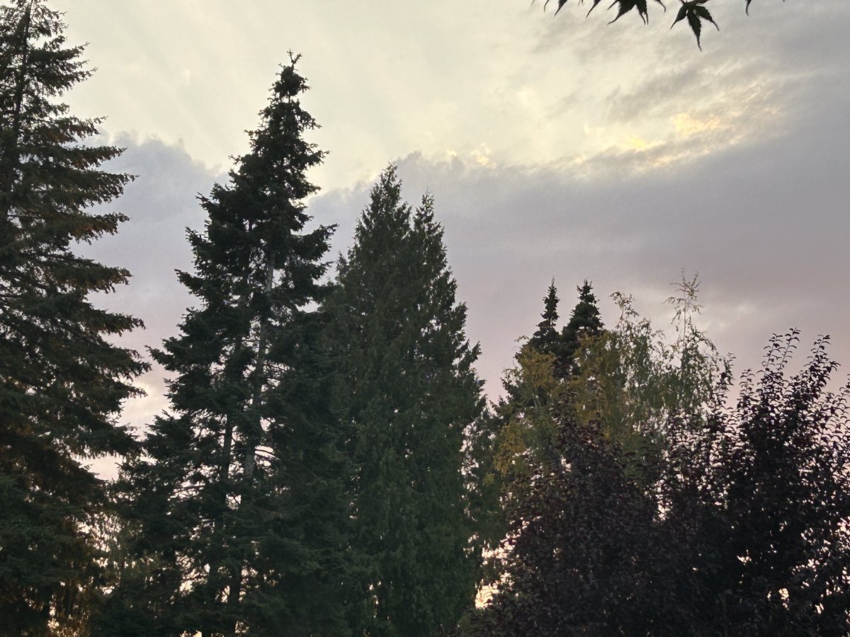 Evening sky.