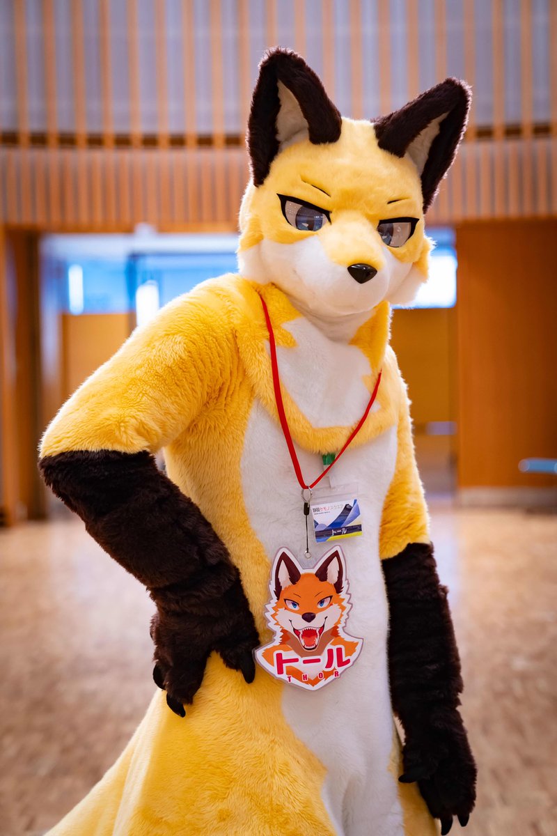 Thor_5858's tweet photo. ใๆฐใซๅ
ฅใใฎไธๆ
#FoxEveryday https://t.co/5zKPtBg9JP