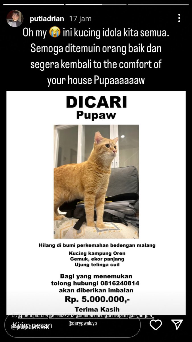 Dicari kucing hilang di Bumi Perkemahan Bedengan Malang

Lost cat malang <a href="/infomalang/">Info Malang</a> <a href="/kochengfs/">KochengFess v2</a>
