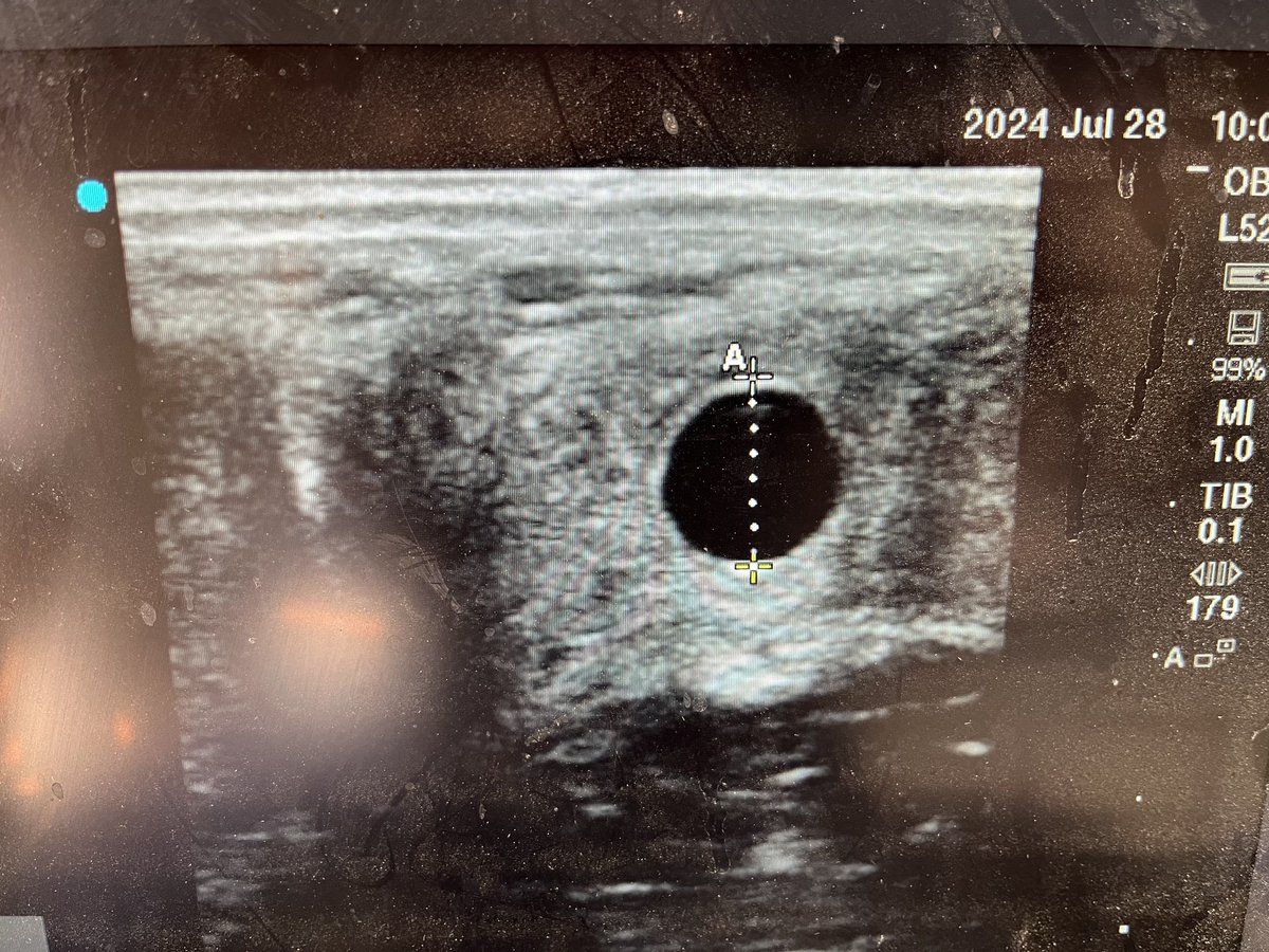 Daniel J Kliebenstein tweet media