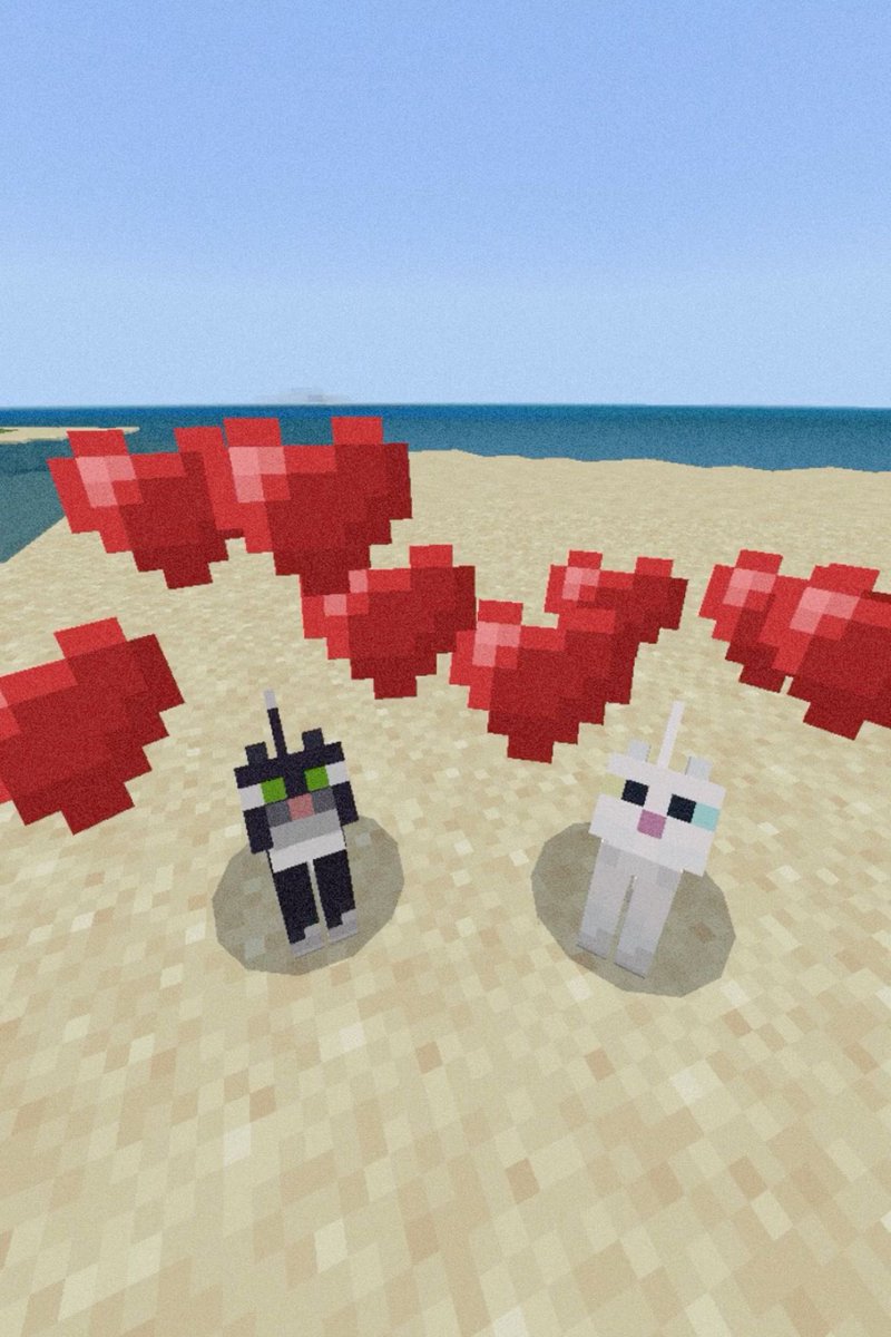 Punch Cat tweet media