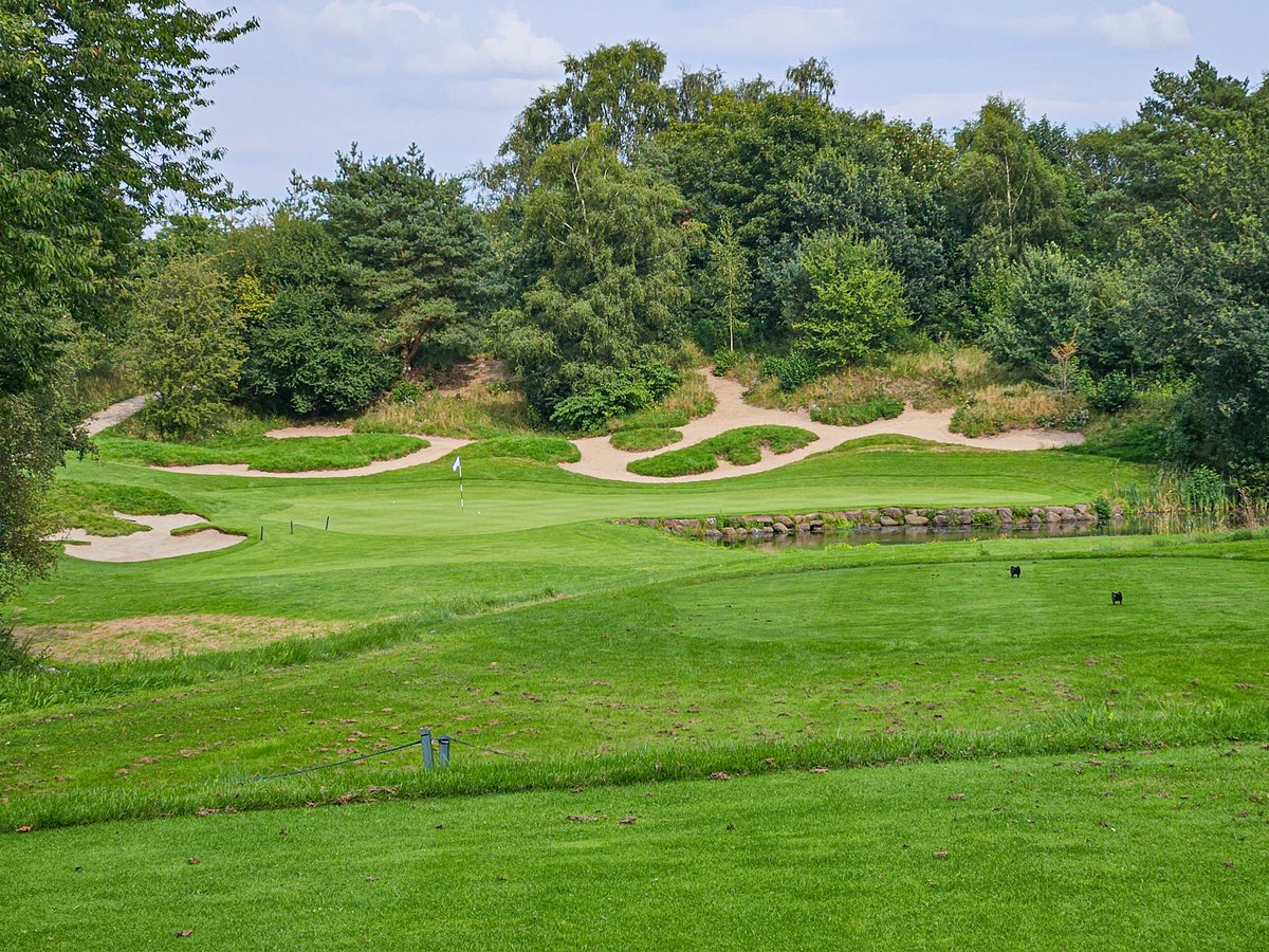 Joe Simpson tweet media