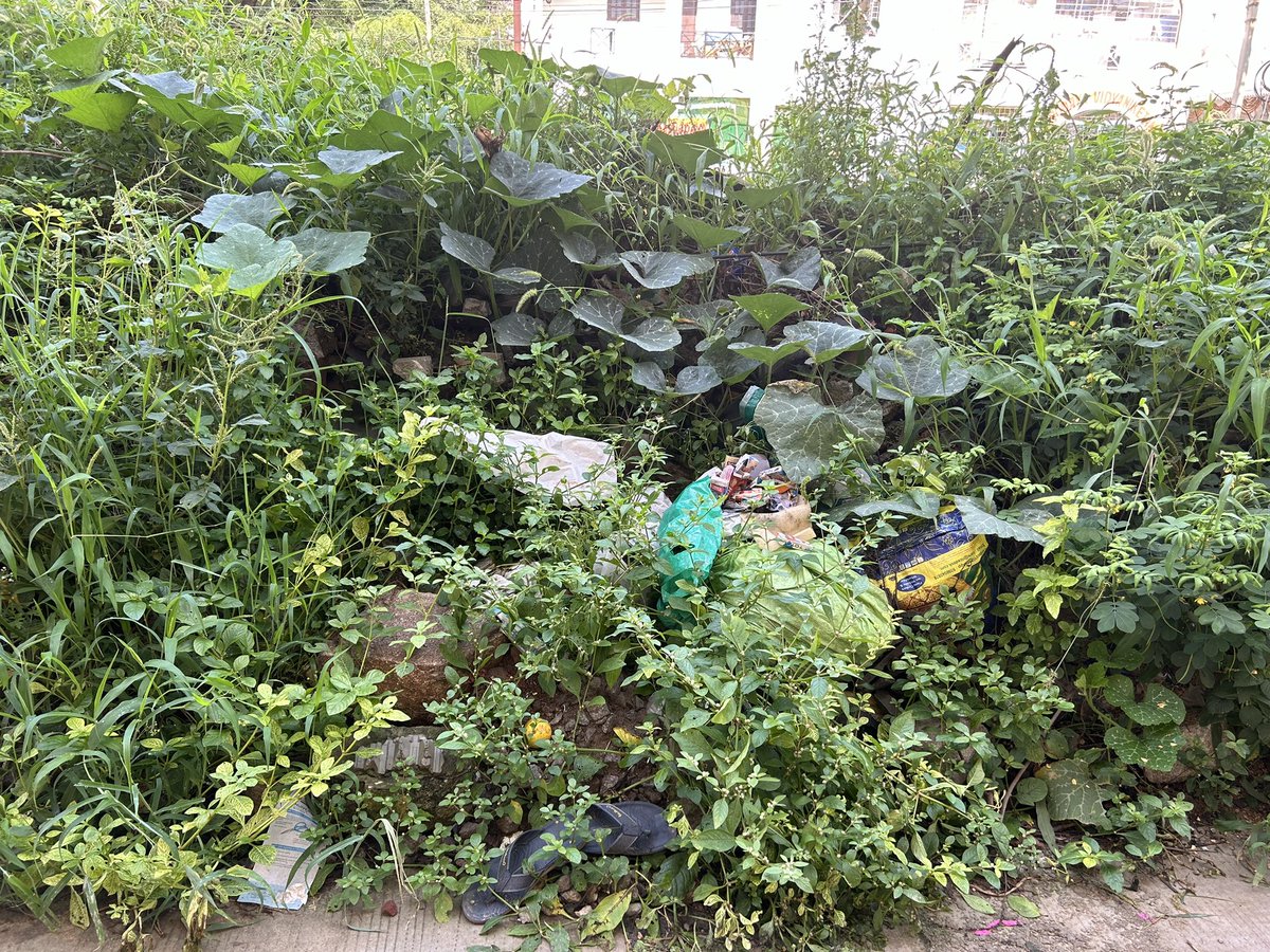 CK00027's tweet photo. @GHMCOnline 
@CommissionrGHMC 
@Dc21Ghmc 
@ZC_SLP 

This is to kindly inform you that the premises of plot 3-73 (Gangaram)is loaded with garbage and daily wastes. 

Daily waste is depositing. Please please please help. 

Kindly help to keep city clean and healthy. https://t.co/Mbury0O3r5