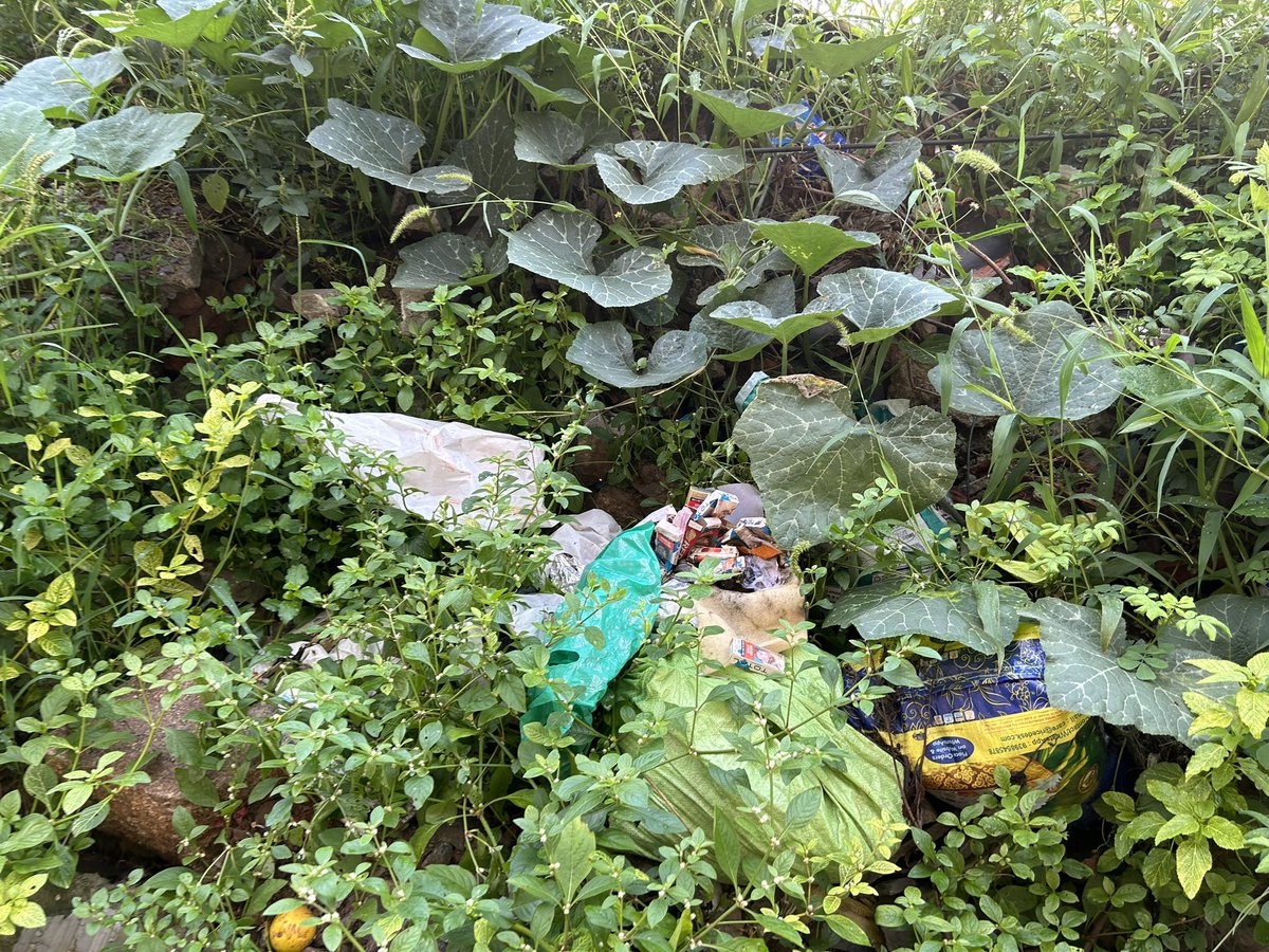 CK00027's tweet photo. @GHMCOnline 
@CommissionrGHMC 
@Dc21Ghmc 
@ZC_SLP 

This is to kindly inform you that the premises of plot 3-73 (Gangaram)is loaded with garbage and daily wastes. 

Daily waste is depositing. Please please please help. 

Kindly help to keep city clean and healthy. https://t.co/Mbury0O3r5