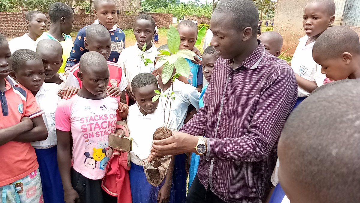 U_E_C_O's tweet image. When children plant trees they are investing in their future - the tree will put down roots as they do and will grow and mature as they do. Understanding that everything is not immediate is also a great life lesson.