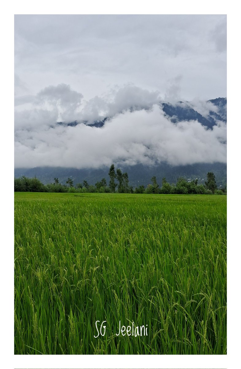 SgJeelani's tweet photo. Happy wensday ❤️
Cloudy atmosphere on countryside
#WeatherTomorrow
#WeatherForecast
#NaturePhotography https://t.co/YEUmSuswbU