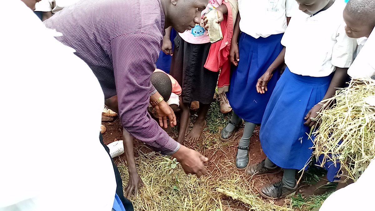 U_E_C_O's tweet image. When children plant trees they are investing in their future - the tree will put down roots as they do and will grow and mature as they do. Understanding that everything is not immediate is also a great life lesson.