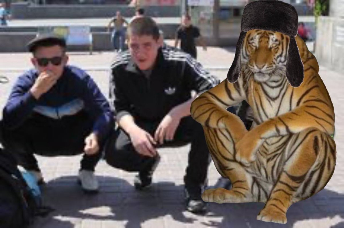 USDTiger's tweet photo. @SolJakey All my homies are the future of finance 😤 https://t.co/0EWxCZHo6a