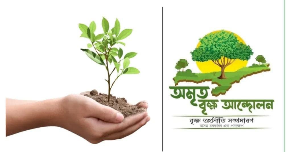 cmpatowary's tweet photo. Under the visionary leadership of Hon’ble CM Dr. @himantabiswa, we have achieved the target of  #AmritBrikshyaAndolan 2.0 by planting 3 crore saplings across Assam. 

The number of geo-tagged images uploaded in the https://t.co/PxKMu1WnFH portal has crossed 3 Crore already. 
 
My heartfelt gratitude to Hon'ble CM for his vision and guidance as well as all the stakeholders for their continuous efforts in achieving the target of ABA 2.0.

@CMOfficeAssam 
@assamforest 
#एक_पेड़_माँ_के_नाम