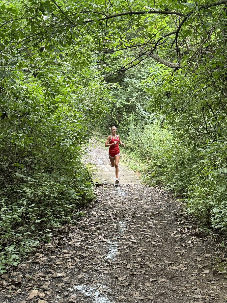 Luke Parnham tweet media