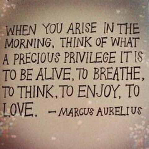 NancyDaniel62's tweet photo. https://t.co/xOUcW8EbqS