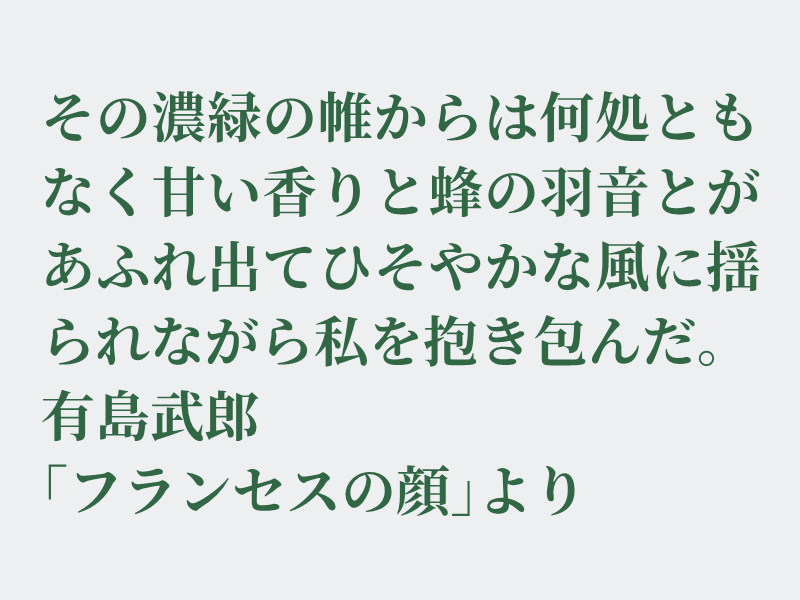 img_shosha's tweet image. No.910  有島武郎「フランセスの顔」より #空想書写
お題の甘い香りはハニーサックル（スイカズラ）。こちらは春から初夏にかけて香ります。今は香りの強い木は見かけませんが、あと１か月もすれば金木犀の香りがあちこちでしはじめるでしょう。楽しみです。それでは、どうぞ。
※帷（とばり）