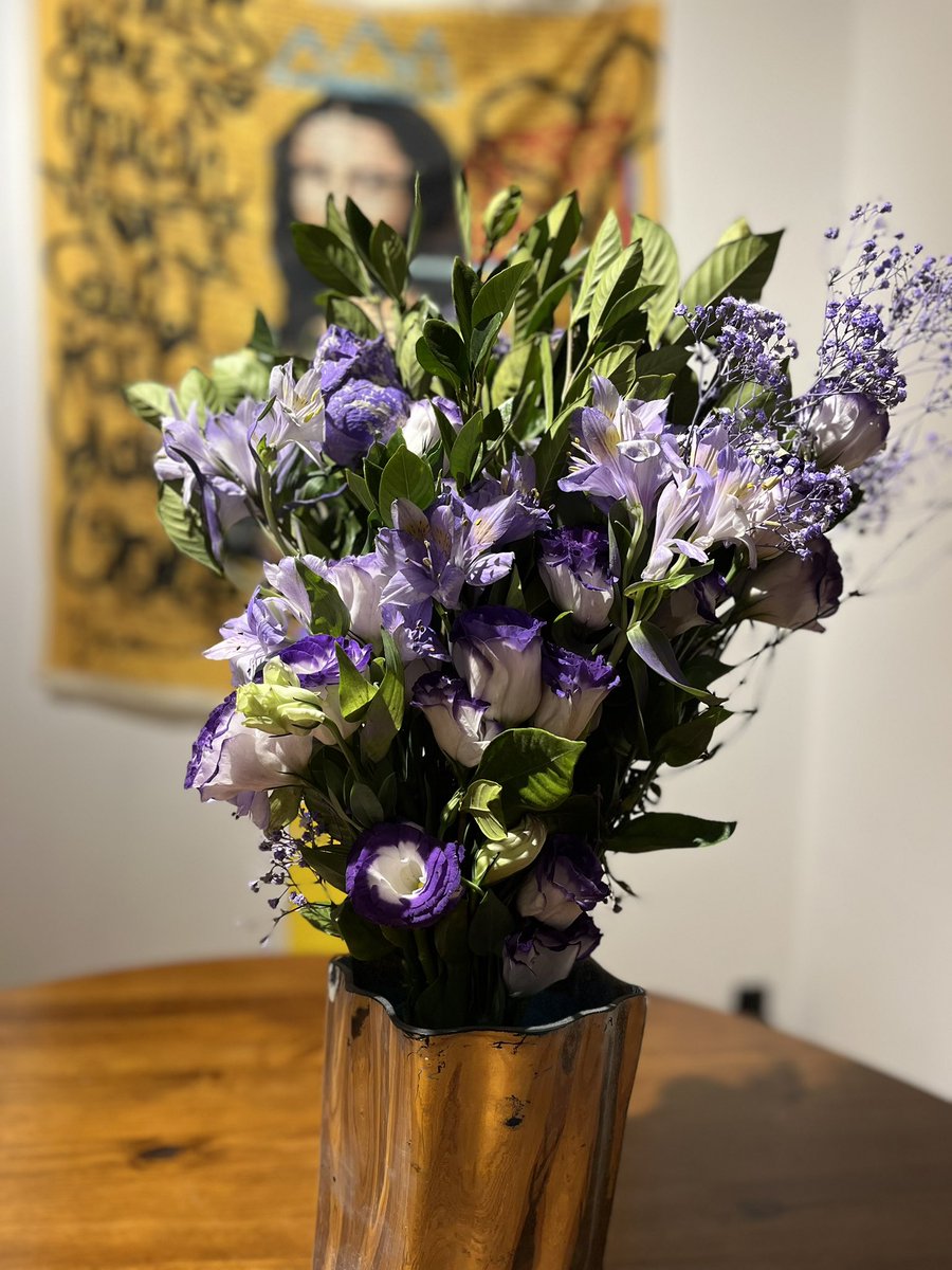 🧜♀️ SERIPHA 🧜♀️ tweet media