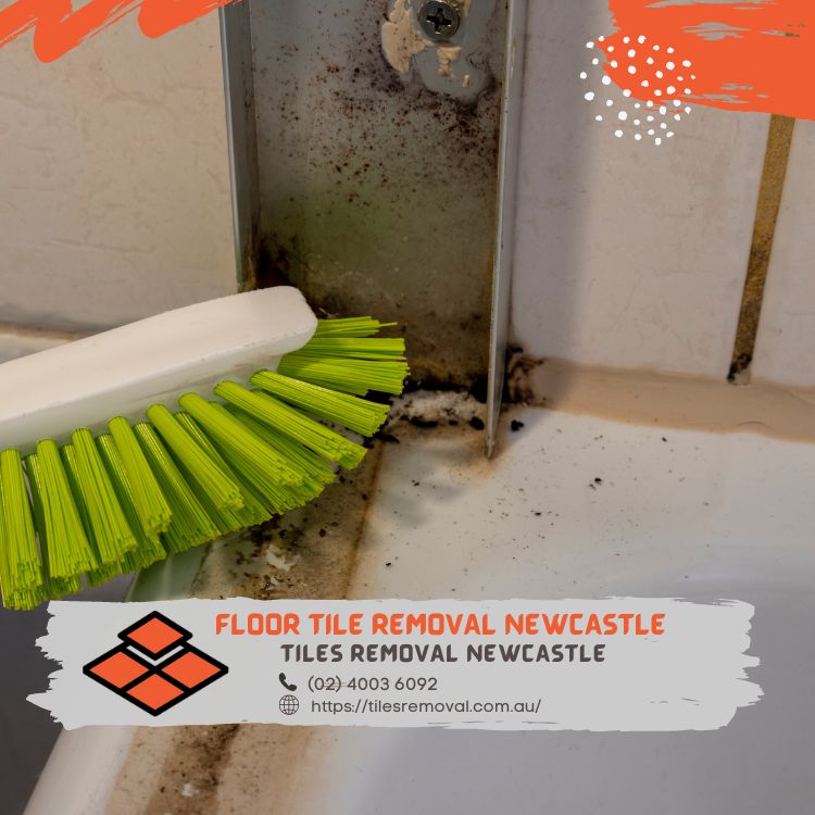 RemovalTiles's tweet photo. With Tiles Removal Newcastle, you can say hello to a blank canvas for your design dreams. Contact us today for fast, affordable tile removal services. #BlankCanvas

Tiles Removal Newcastle
3/82 Selwyn Street Merewether NSW 2291 https://t.co/jvjQscdgSA