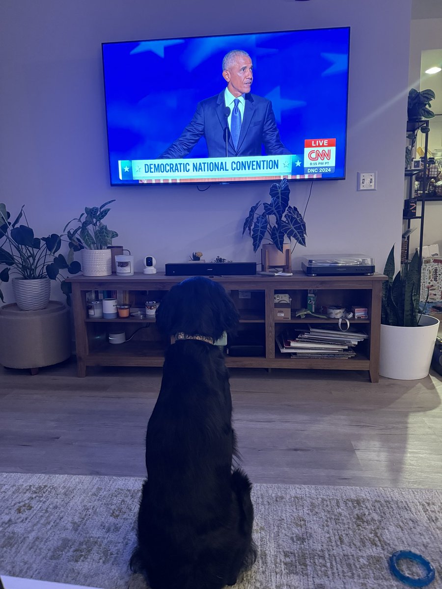 Michelle tweet media