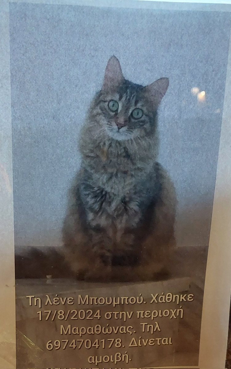 🆘️🆘️ ΕΧΕΙ ΧΑΘΕΙ ΣΤΗΝ ΑΙΓΙΝΑ 🆘️🆘️