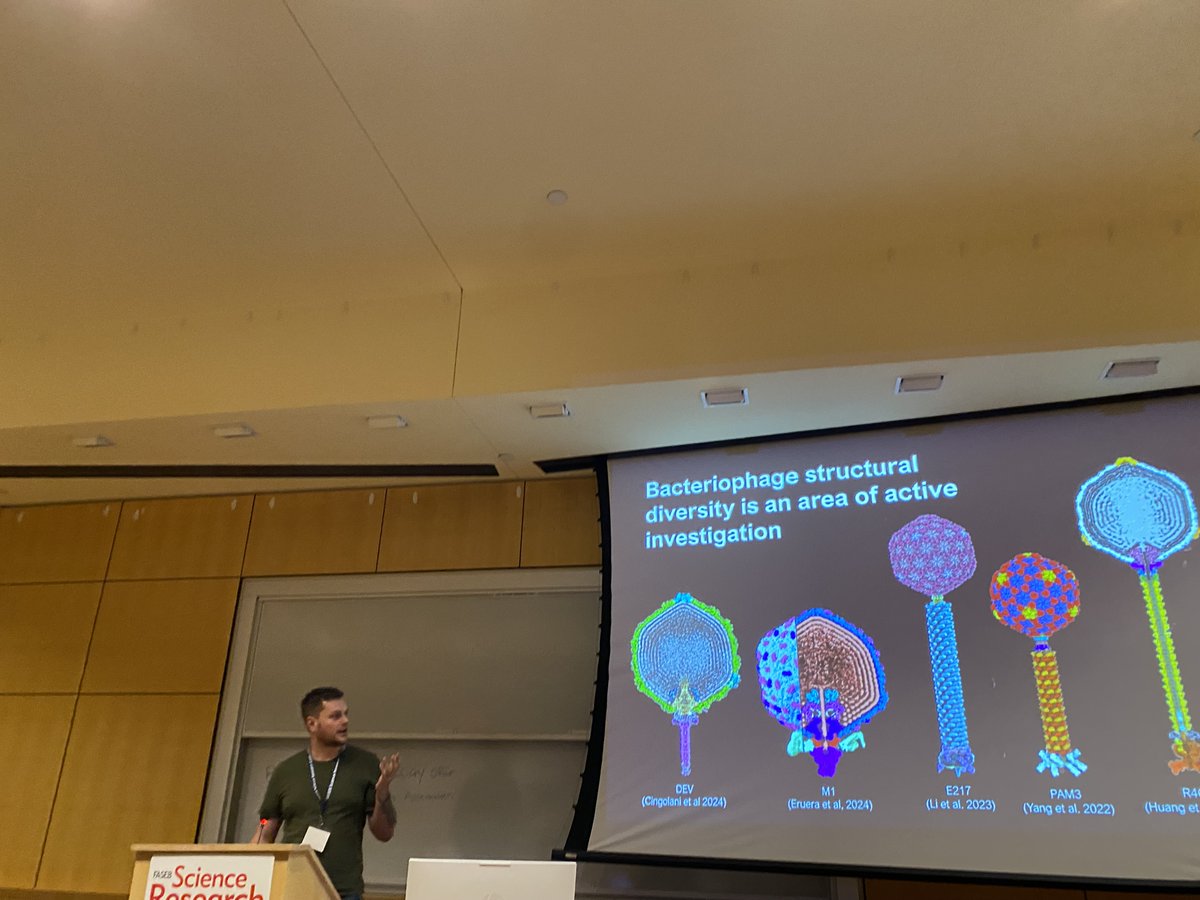 JamesBeanBio's tweet image. Late post: Had the absolute mega opportunity to attend the 2024 FASEB conference on Virus Structure and Assembly. I presented our upcoming publication, and was fortunate to be awarded travel scholarship funding in the closing ceremonies. Big thanks to the FASEB organizers :)