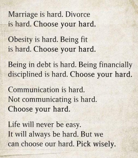 Seek Wiser tweet media