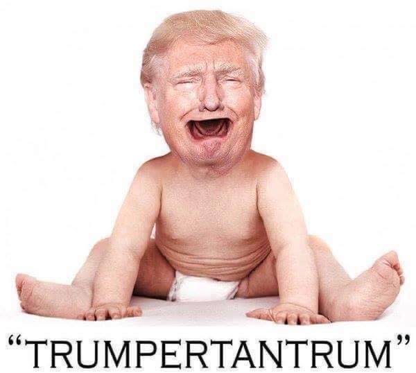 FuckOffMAGACult's tweet photo. @ProjectLincoln @Real_Chatty_Cat Lots of ketchup is going to be on the walls tonight 😂
#DNC2024 #TrumpisDone #ObamaBodyCount https://t.co/YyAziIfjrb